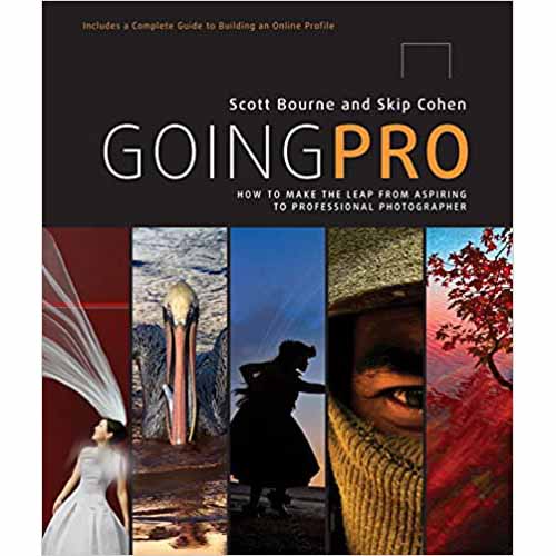 Going Pro : How to Make the Leap from Aspiring to Professional Photographer