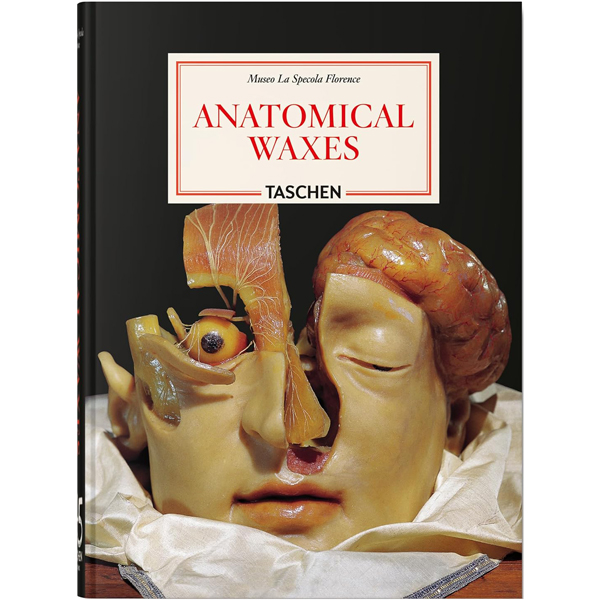 Anatomical Waxes. 45th Ed.