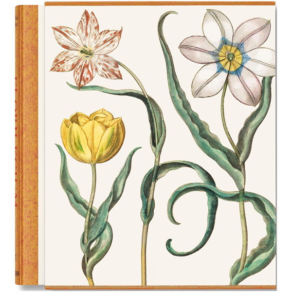 Basilius Besler. The Garden at Eichstatt: 3 volumes : Volume 1, Florilegium ; Volume 2, Garden at Eichstätt ; Volume 3, Book of Plants
