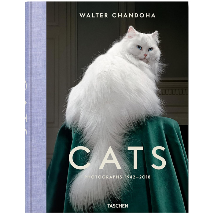 Walter Chandoha. Cats. Photographs 1942–2018